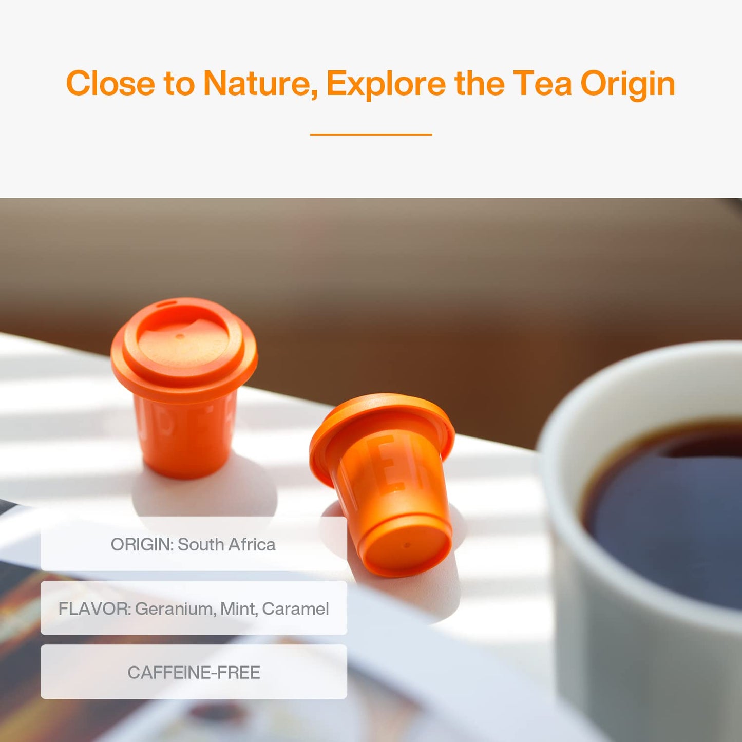 SATURNBIRD Instant Tea Cold Brew, Rooibos Tea, Unsweetened Instant Tea Powder, 100% Tea Leaves, Enjoy Hot/Cold, 24 Single Serves Tea Packets for Traveling Home Office