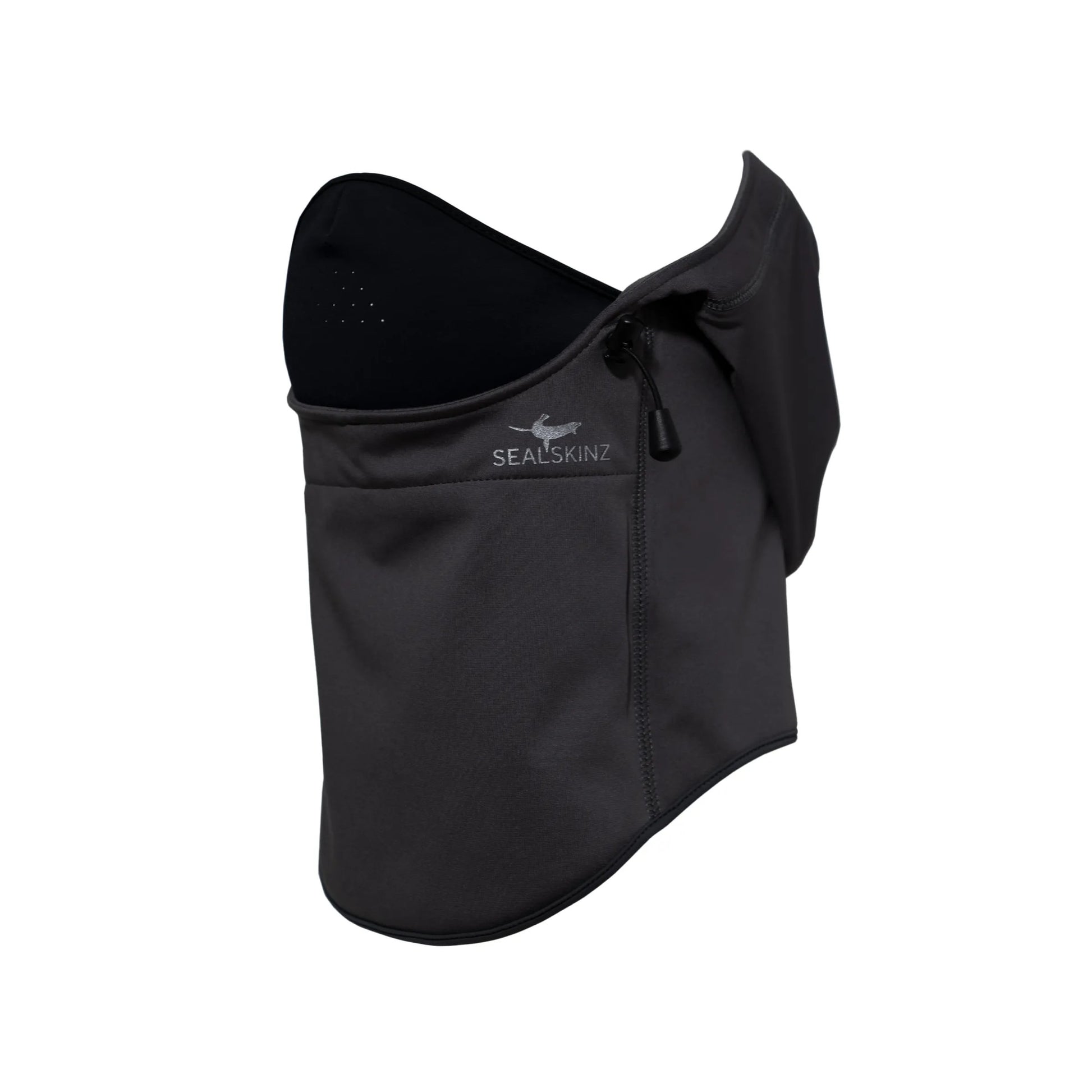 Sealskinz Beetley Waterproof All Weather Head Gaitor